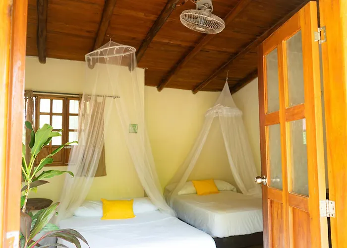 Kallpa B&B Palomino